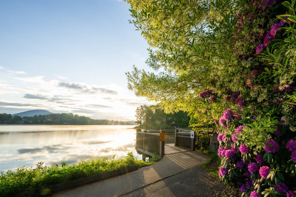 Some seasons ask more of us than we expect. Work gets louder, days get longer, and before we realize it, the people we love most are sharing space with our exhaustion instead of our presence. This week, I am reflecting on what it looks like to stay connected at home, even when everything else feels full.